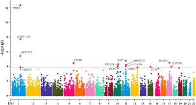 Mendelian randomization analysis identified potential genes pleiotropically associated with gout